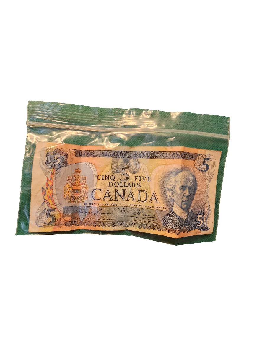 1979 Canada Bank of Canada $5 note - Carolina Bargain Bin