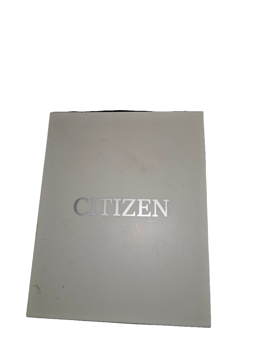 Citizen nighthawk - Carolina Bargain Bin