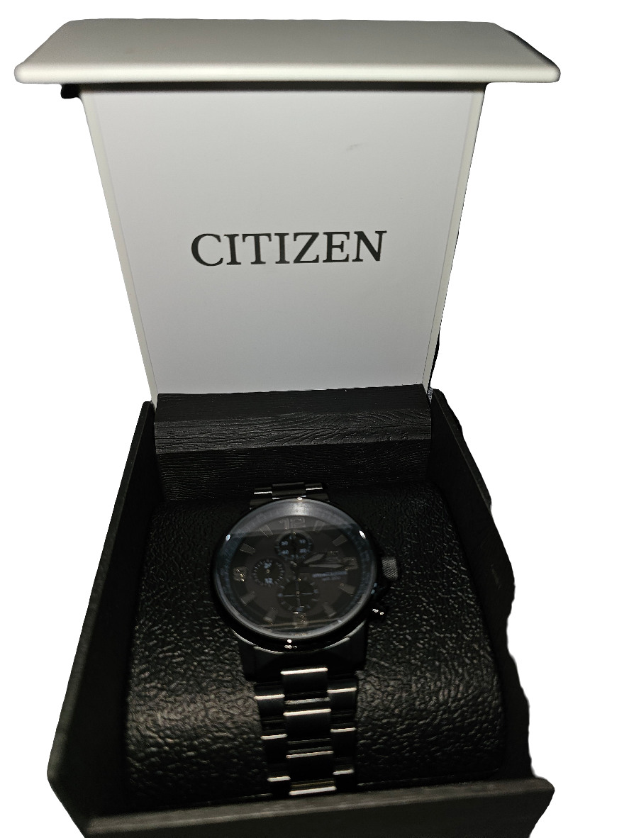 Citizen nighthawk - Carolina Bargain Bin