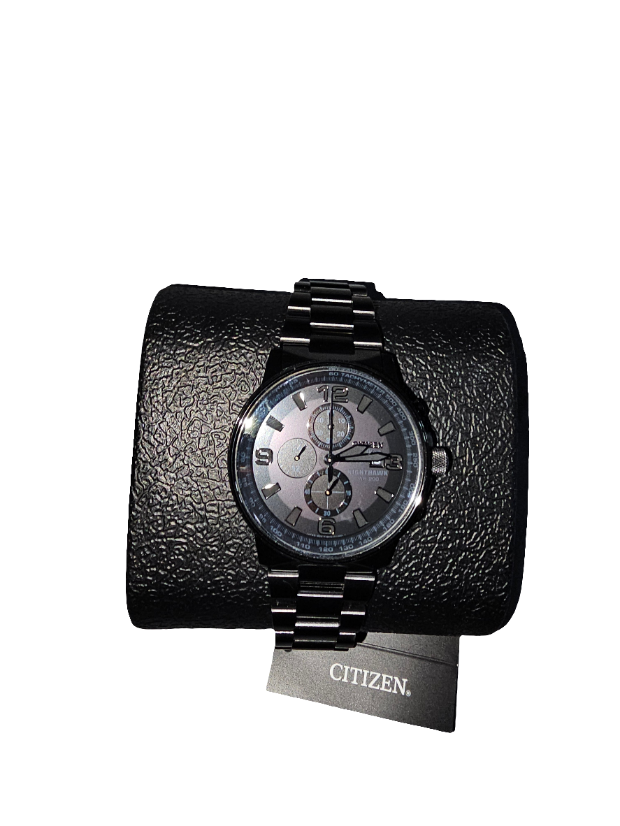 Citizen nighthawk - Carolina Bargain Bin